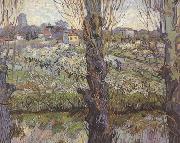 Orchard in Blossom with View of Arles (nn04)
